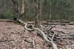 BSG-wandeling-Holl-Rading-13-april-25_60