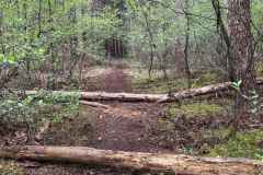 BSG-wandeling-Holl-Rading-13-april-25_70