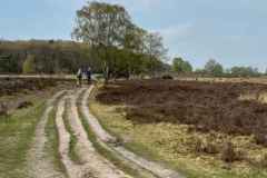 BSG-wandeling-Holl-Rading-13-april-25_80