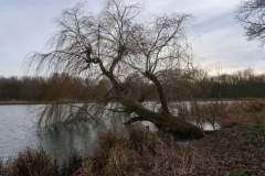 20220213-BSG-wandeling-Capelle_011