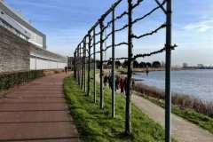 20220213-BSG-wandeling-Capelle_02