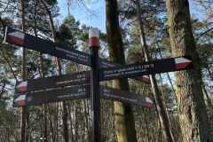 BSG-wandeling-Bergen-op-Zoom-9mrt-2025101