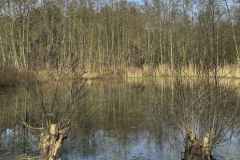 BSG-wandeling-Bergen-op-Zoom-9mrt-20251101