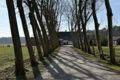 BSG-wandeling-Bergen-op-Zoom-9mrt-20251301