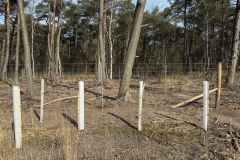 BSG-wandeling-Bergen-op-Zoom-9mrt-20251601