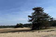 BSG-wandeling-Bergen-op-Zoom-9mrt-20251801