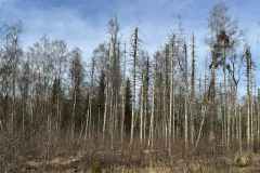BSG-wandeling-Bergen-op-Zoom-9mrt-20252401
