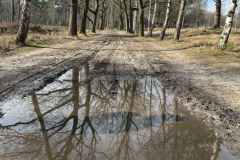 BSG-wandeling-Bergen-op-Zoom-9mrt-20252801