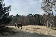 BSG-wandeling-Bergen-op-Zoom-9mrt-20252901