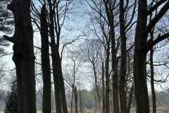 BSG-wandeling-Bergen-op-Zoom-9mrt-2025401