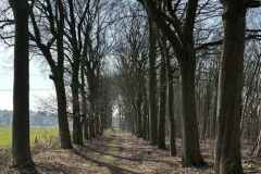 BSG-wandeling-Bergen-op-Zoom-9mrt-2025701
