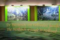 BSG-Wandeling-Dordt-8-dec-2019-10