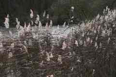 BSG-Wandeling-Dordt-8-dec-2019-17