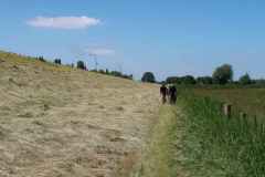 BSG-Gorinchem_13juni21_Niek_017