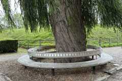 BSG-Gorinchem_Loeversteyn-sept-2025_391