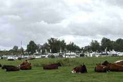 BSG-Gorinchem_Loeversteyn-sept-2025_81