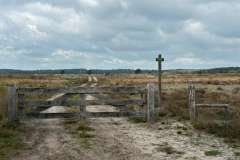 BSG-wandeling-Hilvarenbeek-okt_2025_131
