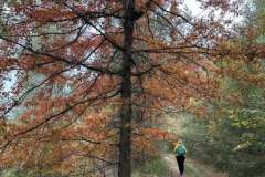 BSG-wandeling-Hilvarenbeek-okt_2025_251