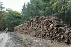 BSG-wandeling-Hilvarenbeek-okt_2025_261