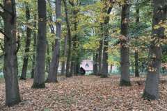 BSG-wandeling-Hilvarenbeek-okt_2025_271