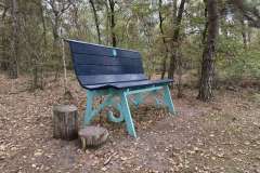 BSG-wandeling-Hilvarenbeek-okt_2025_91