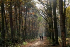 BSG Hilvarenbeek nov 2018-15