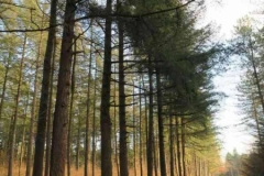 BSG Hilvarenbeek nov 2018-30