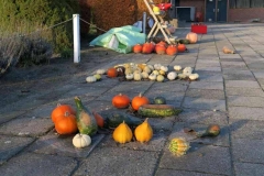 BSG Hilvarenbeek nov 2018-33