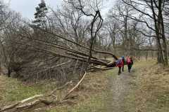 BSG-Meijendel_12_mrt2023_Niek_017