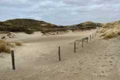 BSG-Meijendel_12_mrt2023_Niek_020