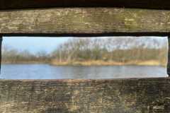 BSG-Meijendel_12_mrt2023_Niek_034