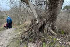 BSG-Meijendel_12_mrt2023_Niek_04