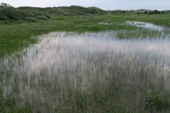 BSG Nivon Kennermer 27mei2018-16