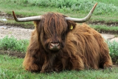 BSG Nivon Kennermer 27mei2018-19