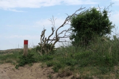 BSG Nivon Kennermer 27mei2018-38