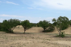 BSG Nivon Kennermer 27mei2018-41