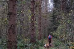 Wandeling-Lage-Vuursche-14-nov-21_Niek_011