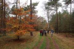 Wandeling-Lage-Vuursche-14-nov-21_Niek_03