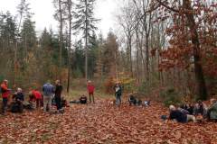 Wandeling-Lage-Vuursche-14-nov-21_Niek_04