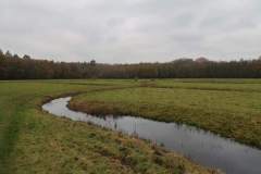 Wandeling-Lage-Vuursche-14-nov-21_Niek_08