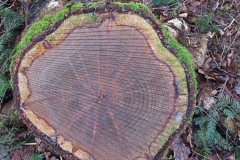 Nivon BSG Maarn feb 18-17