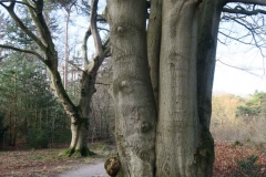 Nivon BSG Maarn feb 18-32