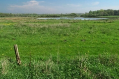 BSG wandeling Zundert apr18-20