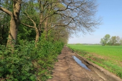 BSG wandeling Zundert apr18-24