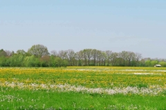 BSG wandeling Zundert apr18-25