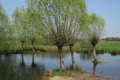 BSG wandeling Zundert apr18-31