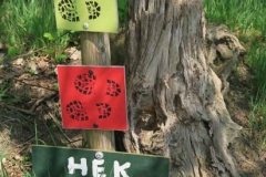 BSG wandeling Zundert apr18-35