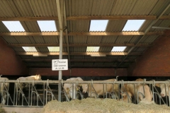 BSG wandeling Zundert apr18-41