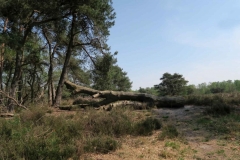 BSG wandeling Zundert apr18-44