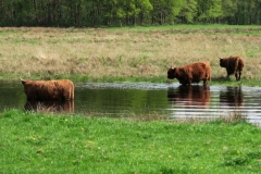 BSG wandeling Zundert apr18-51